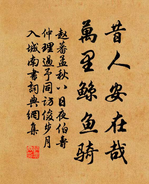 赵蕃昔人安在哉，万里鲸鱼骑书法作品欣赏
