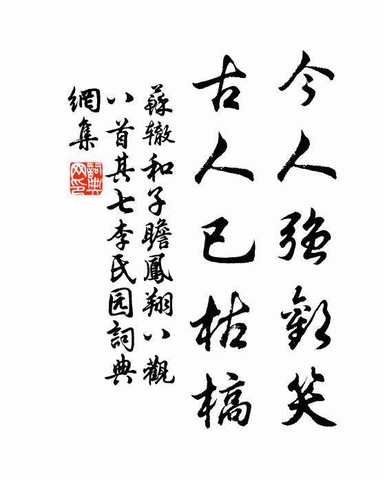 苏辙今人强欢笑，古人已枯槁书法作品欣赏