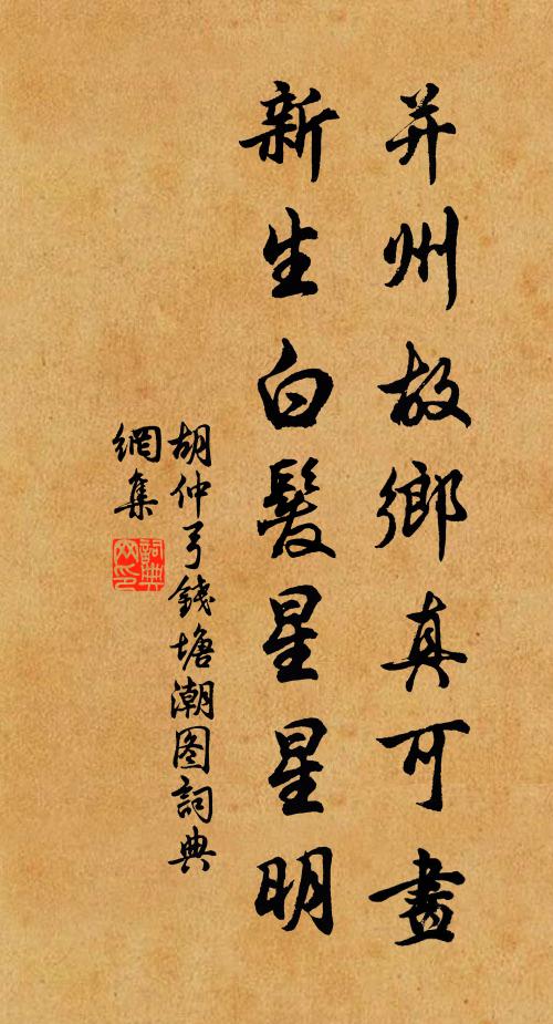 胡仲弓并州故乡真可画，新生白发星星明书法作品欣赏