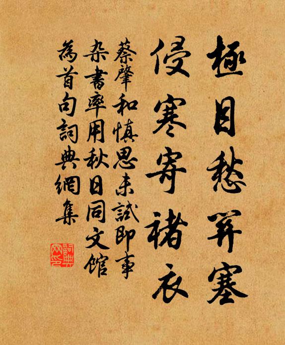 蔡肇极目愁关塞，侵寒寄褚衣书法作品欣赏
