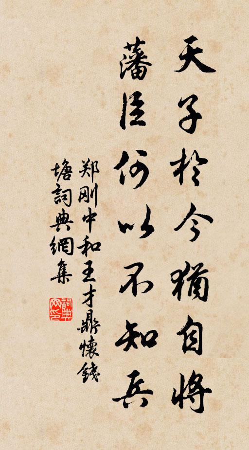郑刚中天子於今犹自将，藩臣何以不知兵书法作品欣赏