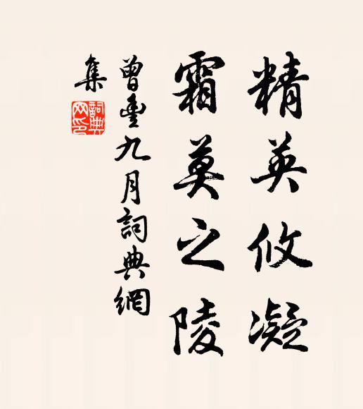 曾丰精英攸凝，霜莫之陵书法作品欣赏