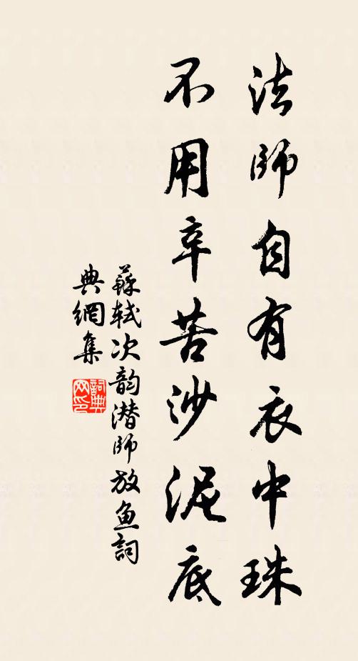 苏轼法师自有衣中珠，不用辛苦沙泥底书法作品欣赏