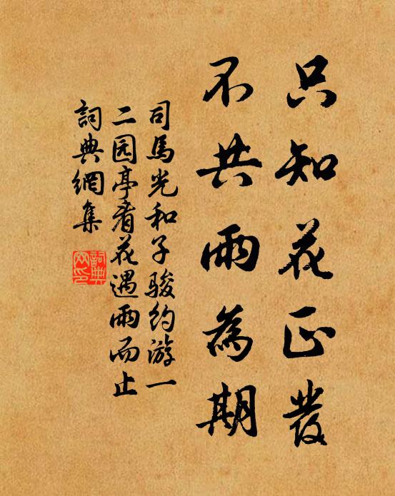 司马光只知花正发，不共雨为期书法作品欣赏