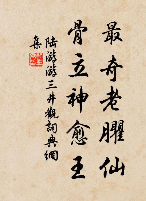 陆游最奇老臞仙，骨立神愈王书法作品欣赏
