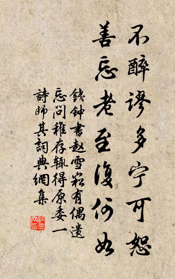 钱钟书不醉谬多宁可恕，善忘老至复何如书法作品欣赏