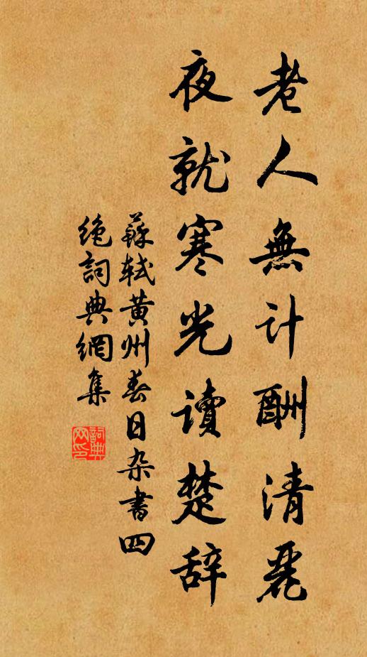 苏轼老人无计酬清丽，夜就寒光读楚辞书法作品欣赏