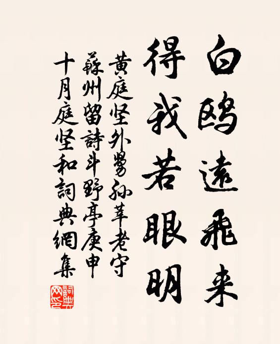 黄庭坚白鸥远飞来，得我若眼明书法作品欣赏