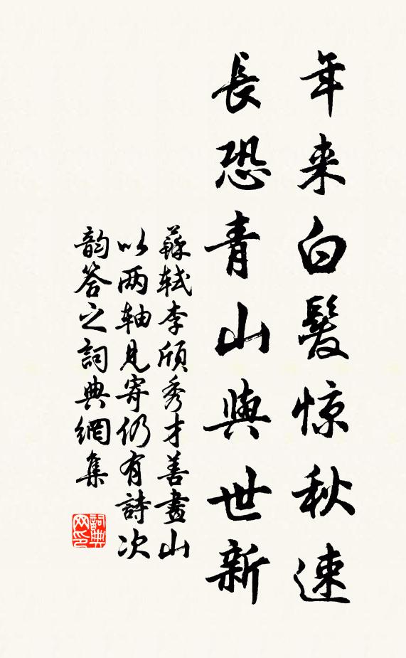 苏轼年来白发惊秋速，长恐青山与世新书法作品欣赏