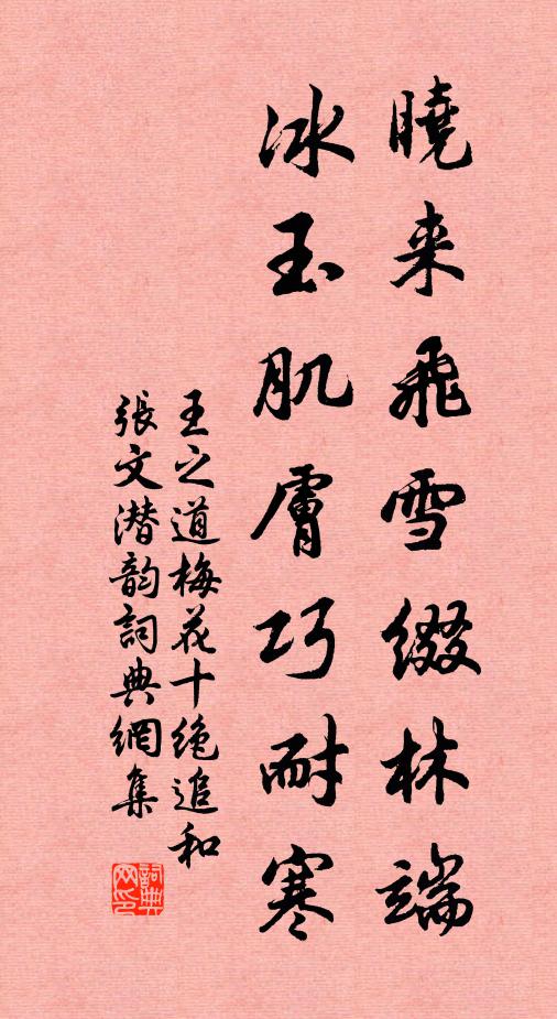 王之道晓来飞雪缀林端，冰玉肌肤巧耐寒书法作品欣赏
