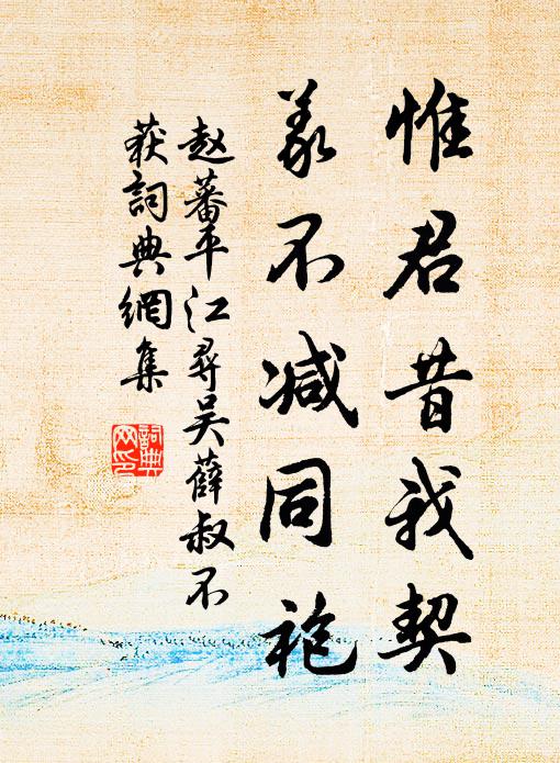 赵蕃惟君昔我契，义不减同袍书法作品欣赏