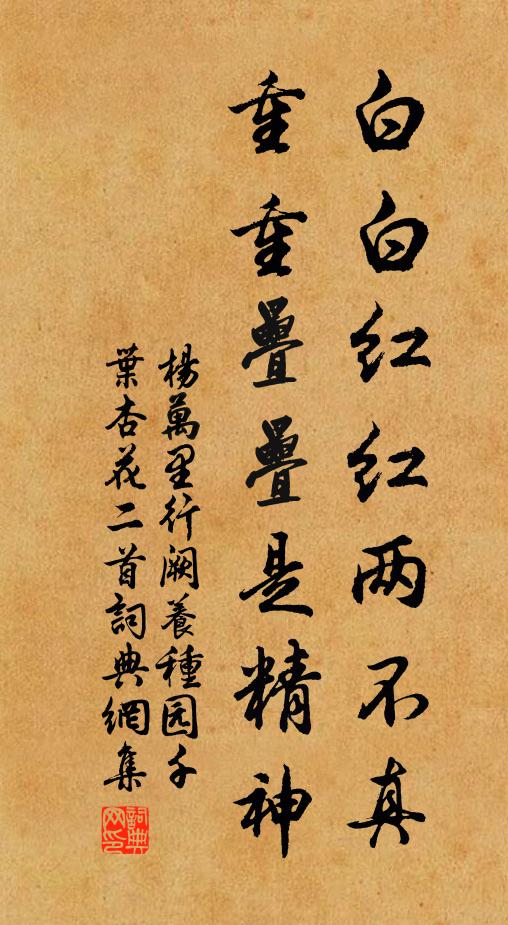 杨万里白白红红两不真，重重叠叠是精神书法作品欣赏