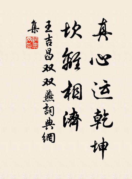 王吉昌真心运乾坤，坎离相济书法作品欣赏