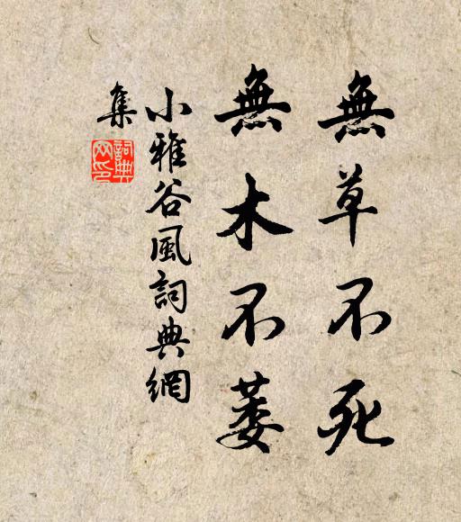 佚名无草不死，无木不萎书法作品欣赏