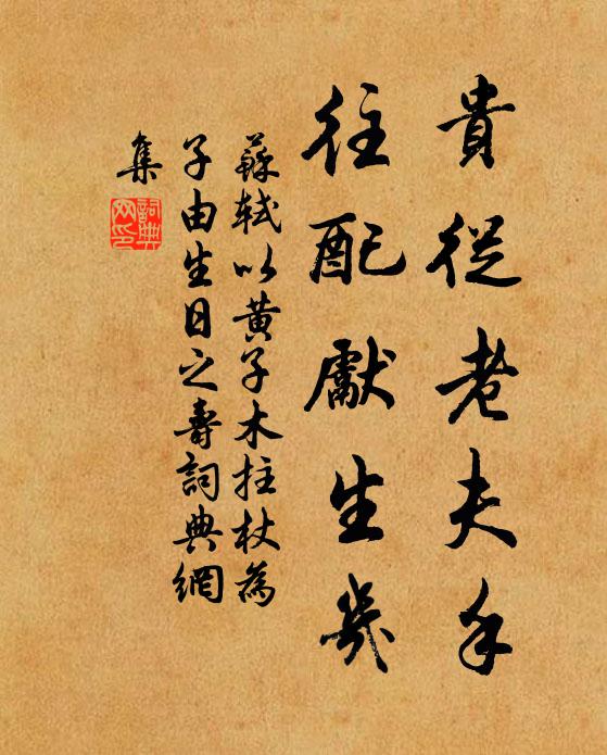 苏轼贵从老夫手，往配先生几书法作品欣赏