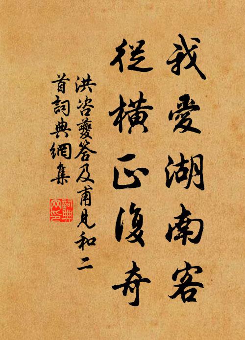 洪咨夔我爱湖南客，从横正复奇书法作品欣赏