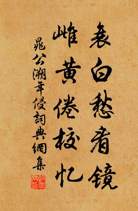 晁公溯衰白愁看镜，雌黄倦校忆书法作品欣赏