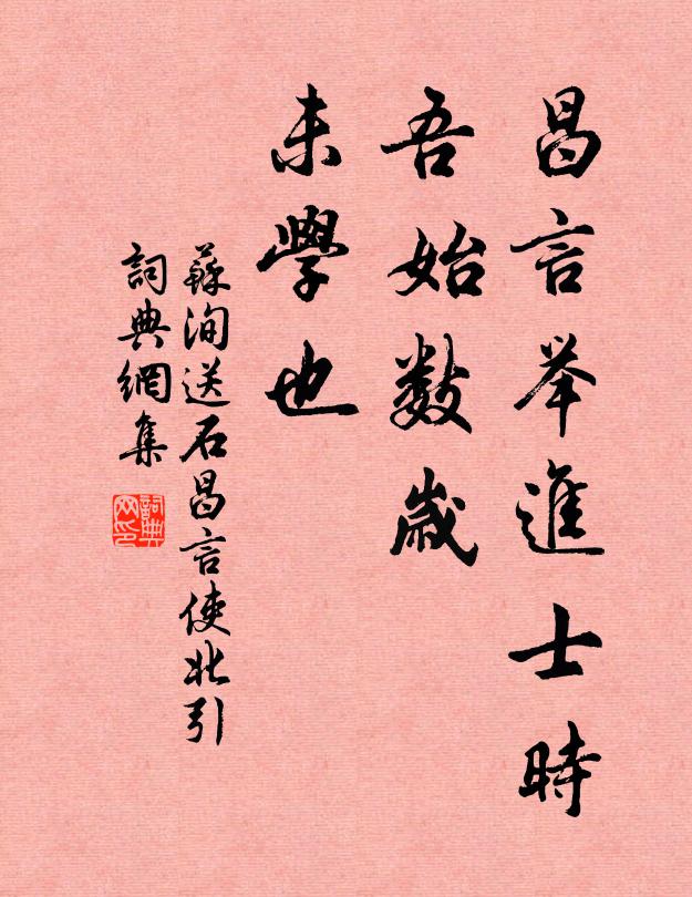 苏洵昌言举进士时，吾始数岁，未学也书法作品欣赏