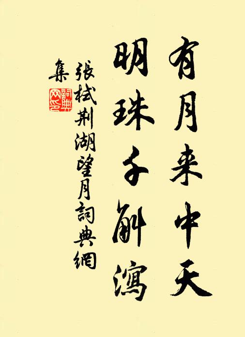张栻有月来中天，明珠千斛泻书法作品欣赏
