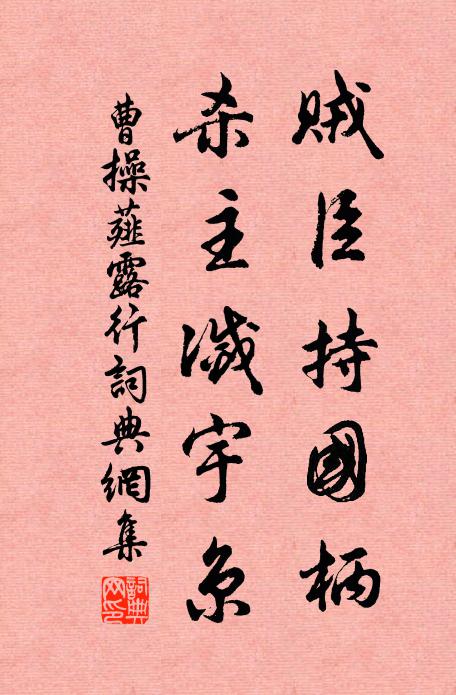 曹操贼臣持国柄，杀主灭宇京书法作品欣赏