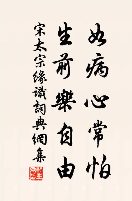 宋太宗如病心常怕，生前乐自由书法作品欣赏