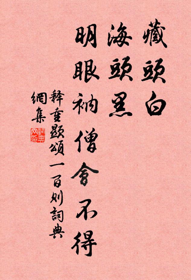 释重顯藏头白，海头黑，明眼衲僧会不得书法作品欣赏