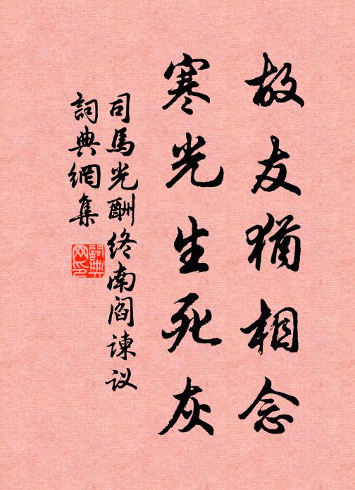 司马光故友犹相念，寒光生死灰书法作品欣赏
