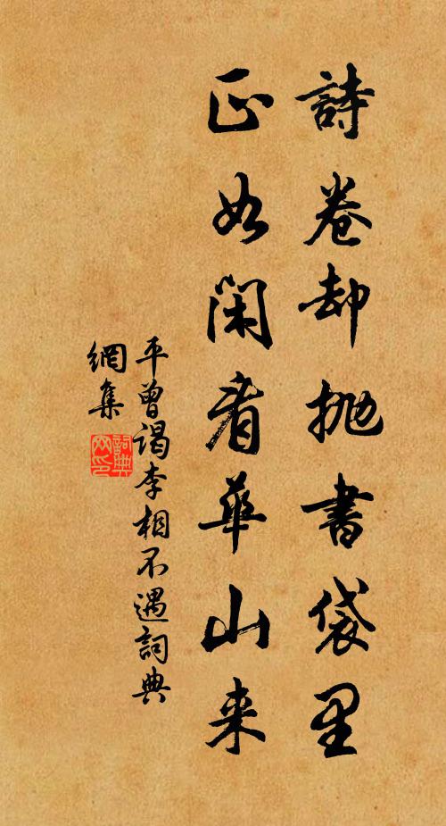 平曾诗卷却抛书袋里，正如闲看华山来书法作品欣赏