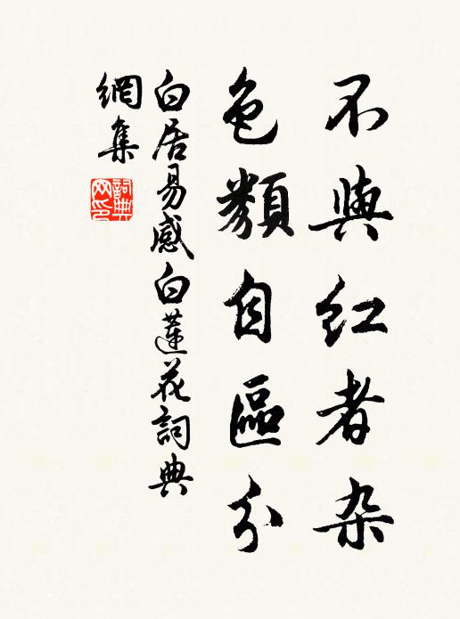 白居易不与红者杂，色类自区分书法作品欣赏
