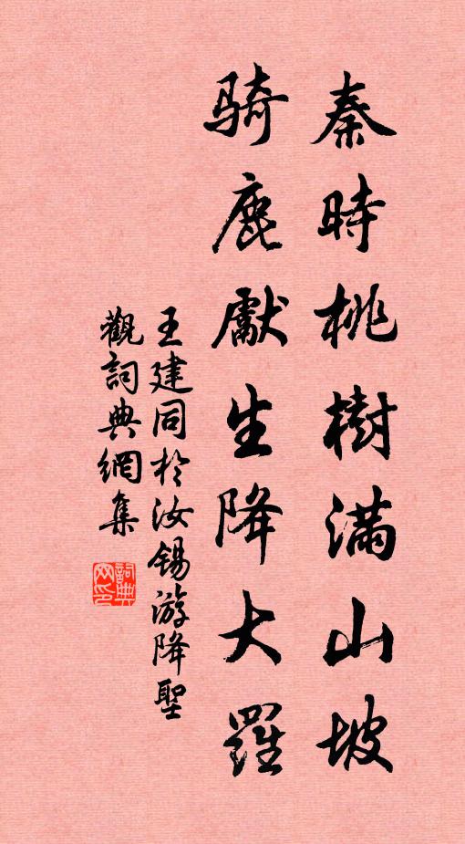 王建秦时桃树满山坡，骑鹿先生降大罗书法作品欣赏