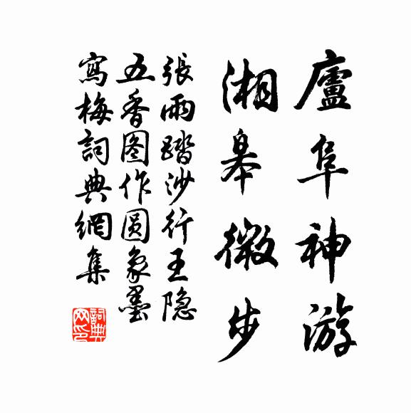 张雨庐阜神游，湘皋微步书法作品欣赏
