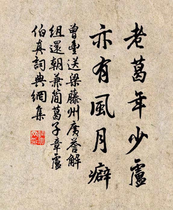 曾丰老葛年少卢，亦有风月癖书法作品欣赏