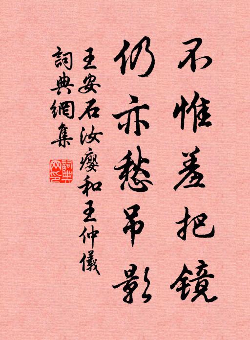 王安石不惟羞把镜，仍亦愁吊影书法作品欣赏