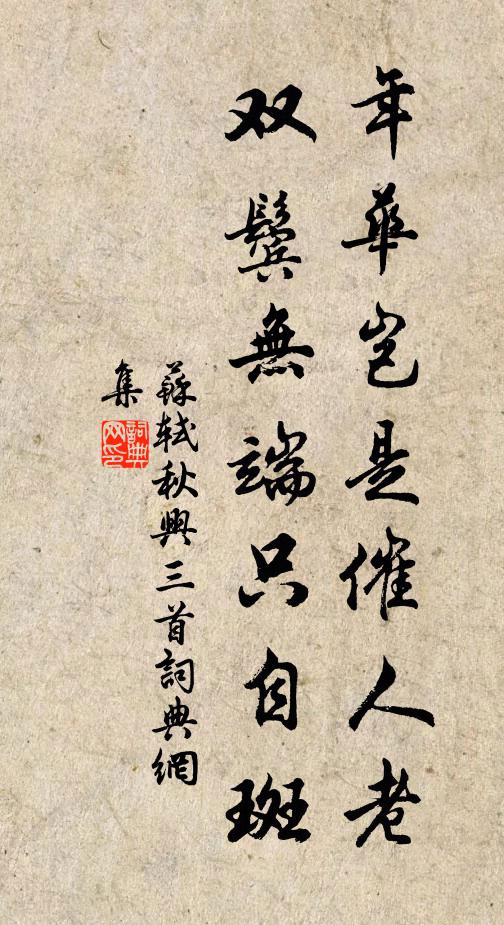 苏轼年华岂是催人老，双鬓无端只自斑书法作品欣赏