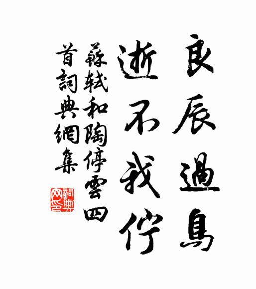 苏轼良辰过鸟，逝不我伫书法作品欣赏