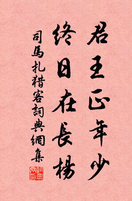司马扎君王正年少，终日在长杨书法作品欣赏