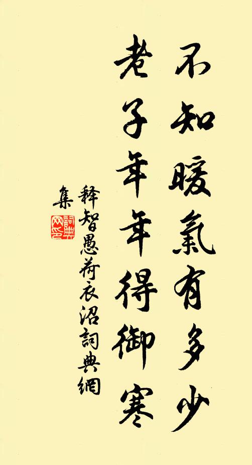 释智愚不知暖气有多少，老子年年得御寒书法作品欣赏