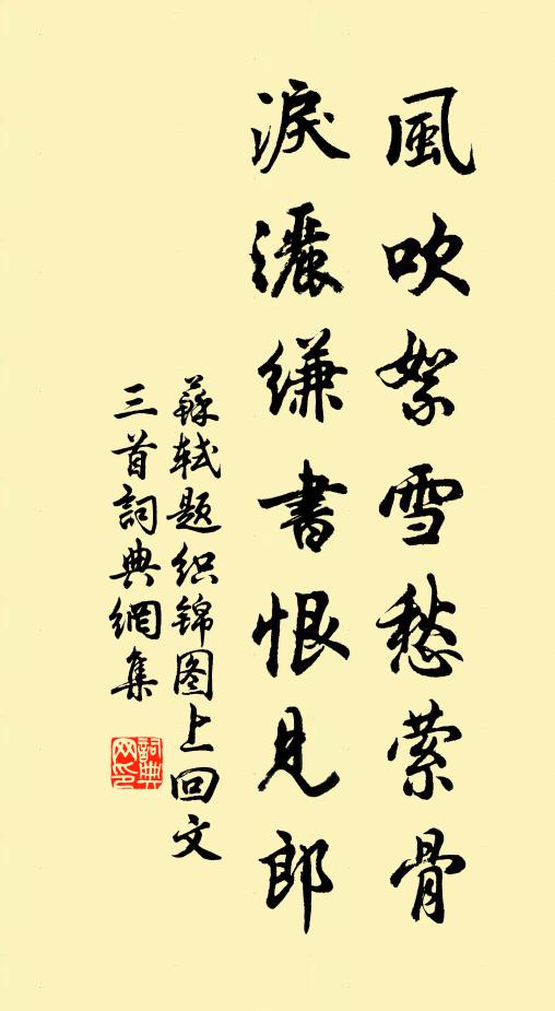 苏轼风吹絮雪愁萦骨，泪洒缣书恨见郎书法作品欣赏