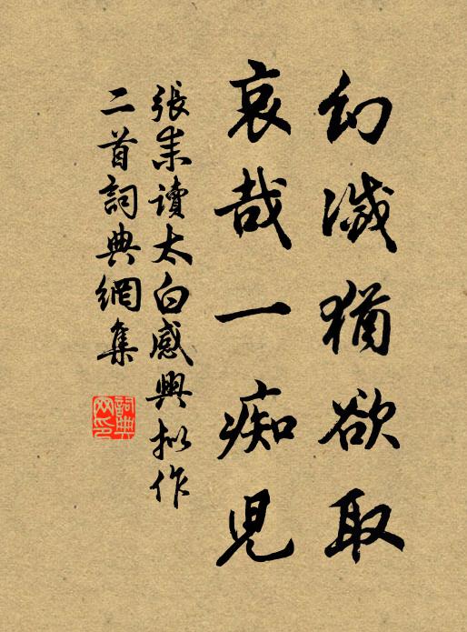 张耒幻灭犹欲取，哀哉一痴儿书法作品欣赏