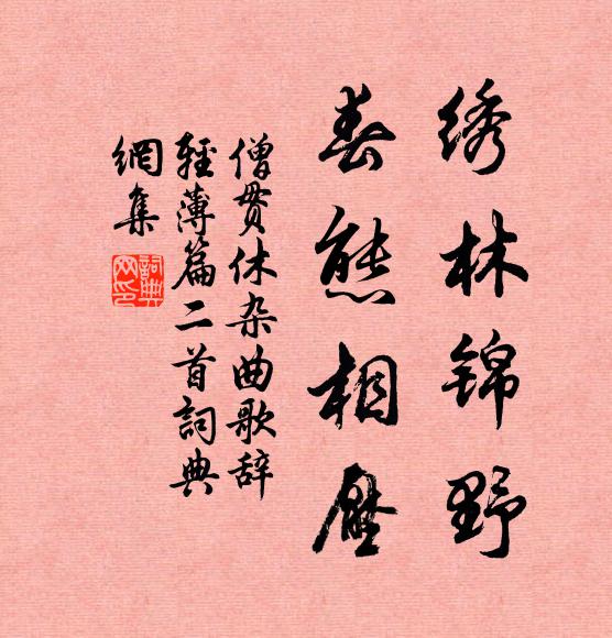 僧贯休绣林锦野，春态相压书法作品欣赏