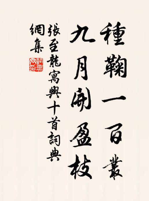 张至龙种鞠一百丛，九月开盈枝书法作品欣赏