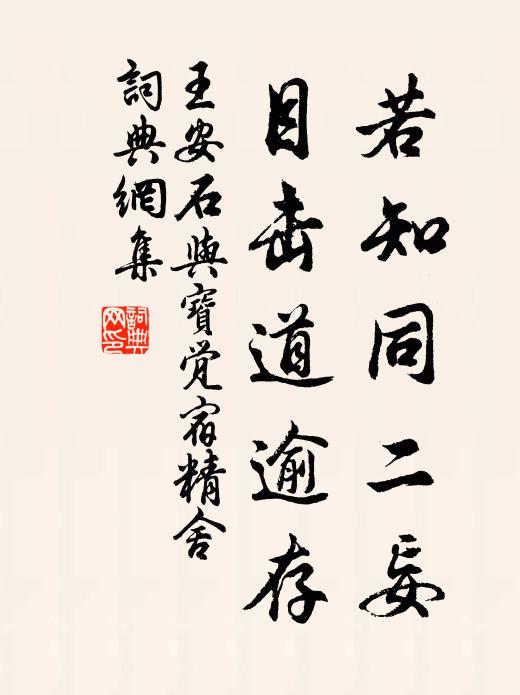 王安石若知同二妄，目击道逾存书法作品欣赏