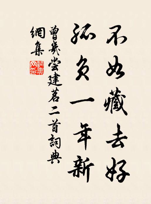 曾几不如藏去好，孤负一年新书法作品欣赏