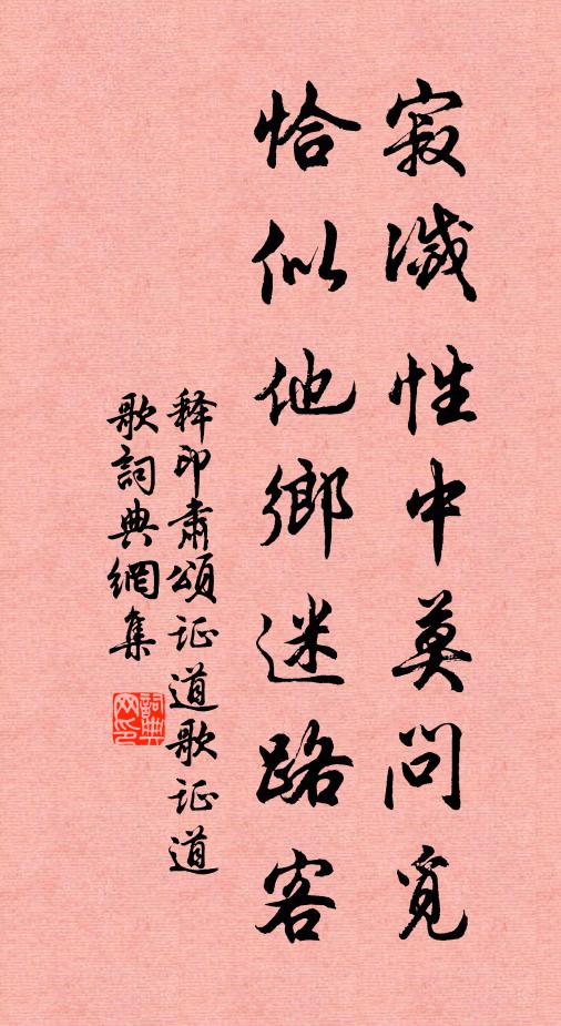 释印肃寂灭性中莫问觅，恰似他乡迷路客书法作品欣赏