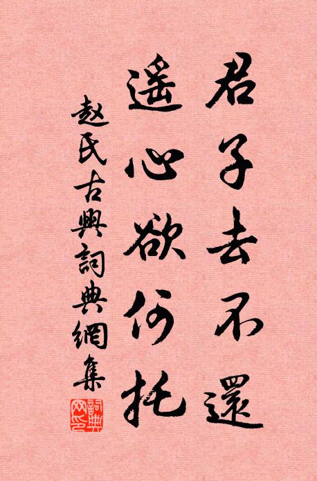 赵氏君子去不还，遥心欲何托书法作品欣赏