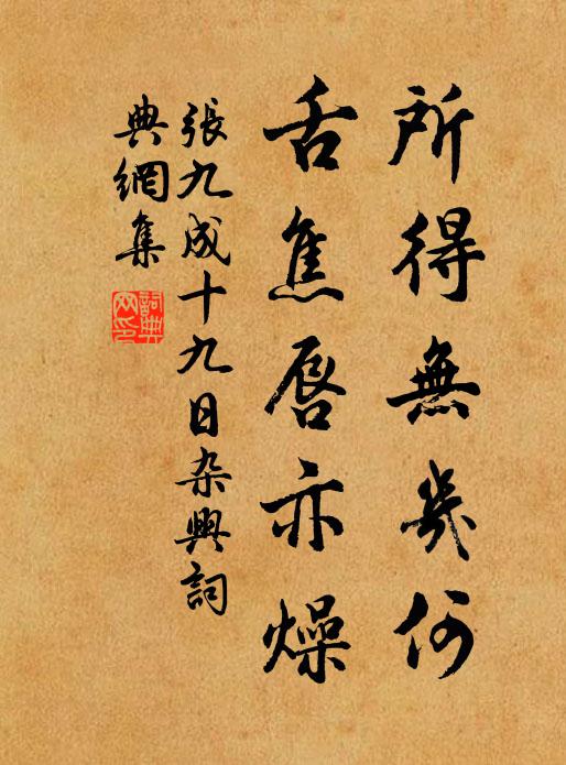 张九成所得无几何，舌焦唇亦燥书法作品欣赏