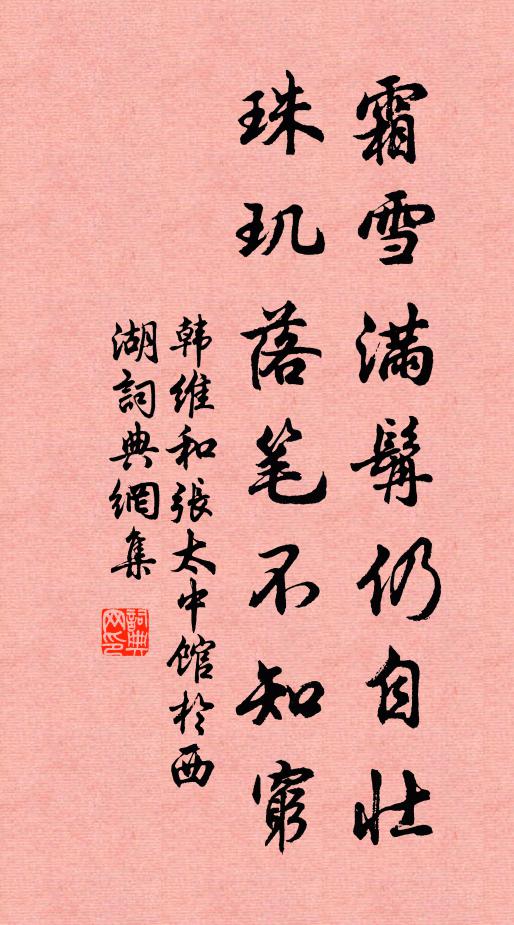 韩维霜雪满髯仍自壮，珠玑落笔不知穷书法作品欣赏