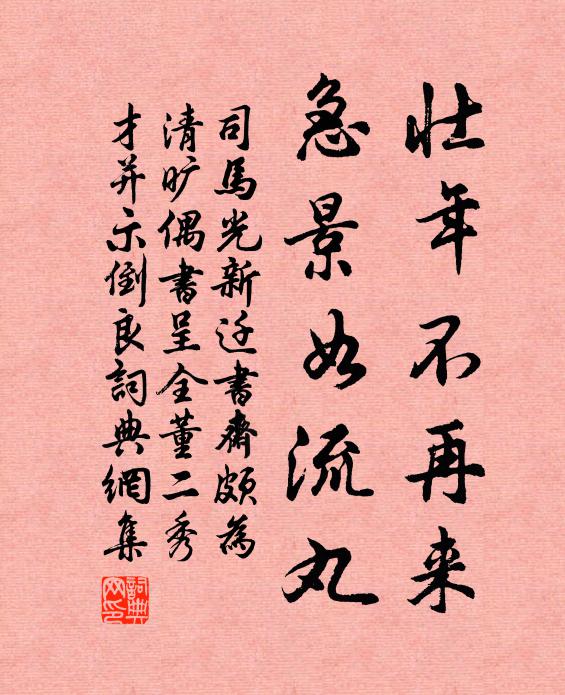 司马光壮年不再来，急景如流丸书法作品欣赏
