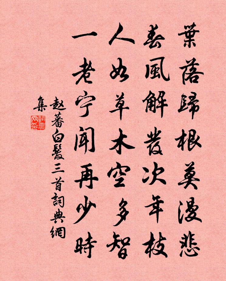 赵蕃白发三首书法作品欣赏