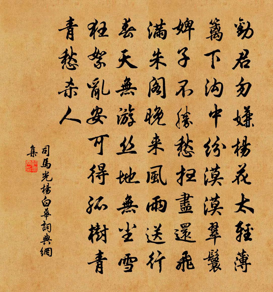 司马光杨白华书法作品欣赏